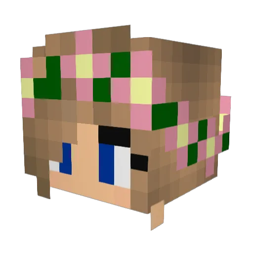 Pavdog123 Minecraft avatar head, 3D render