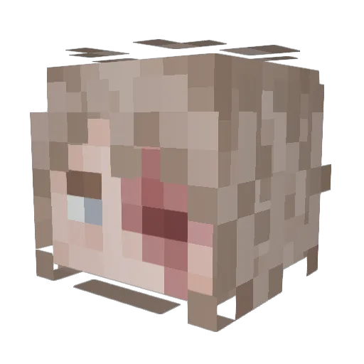 PavelAngry Minecraft avatar head, 3D render
