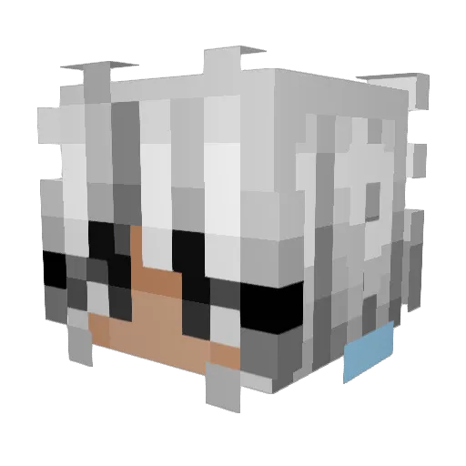 Pavixonik Minecraft avatar head, 3D render