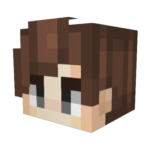 Pavl Minecraft avatar head, 3D render