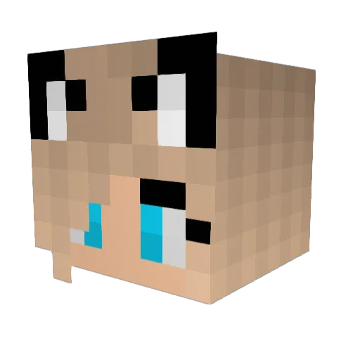 Pavlova_121 Minecraft avatar head, 3D render