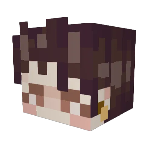 PavlovsDogg Minecraft avatar head, 3D render