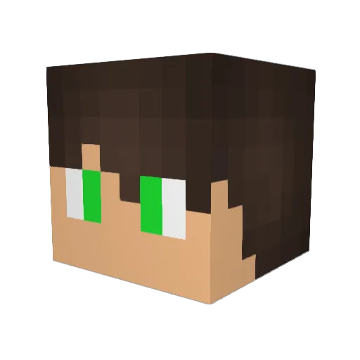 Pavlusha4544 Minecraft avatar head, 3D render