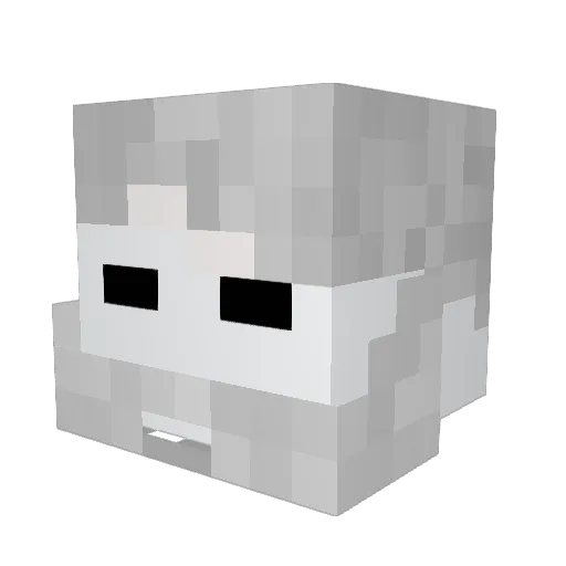 Pavo1001 Minecraft avatar head, 3D render