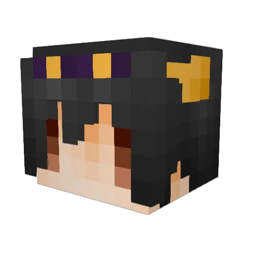 Pavonisy Minecraft avatar head, 3D render