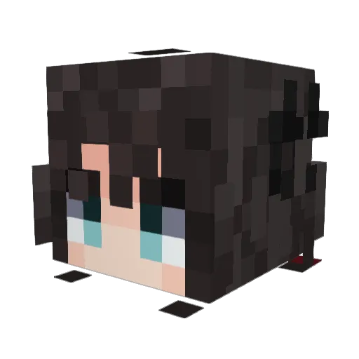 Pavseh Minecraft avatar head, 3D render