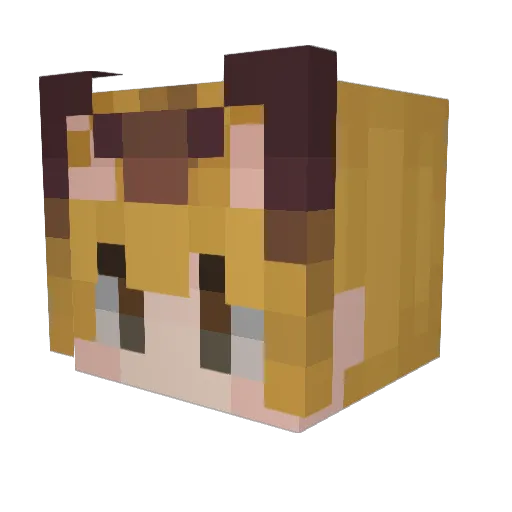 PavvyPanic Minecraft avatar head, 3D render