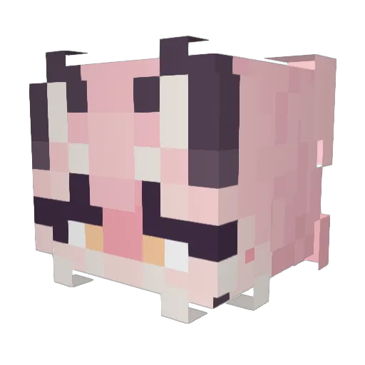 PawBabes Minecraft avatar head, 3D render