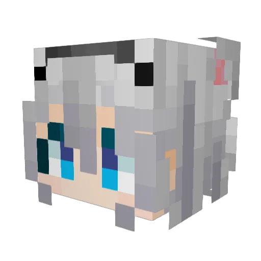 Paw_Pwa Minecraft avatar head, 3D render