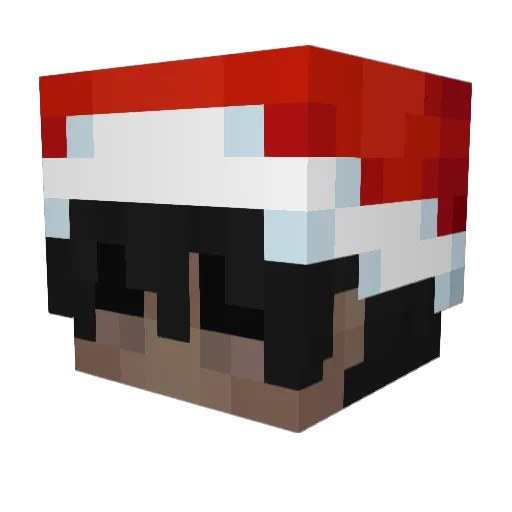 Pawasion Minecraft avatar head, 3D render
