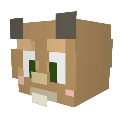 Pawciek222 Minecraft avatar head, 3D render