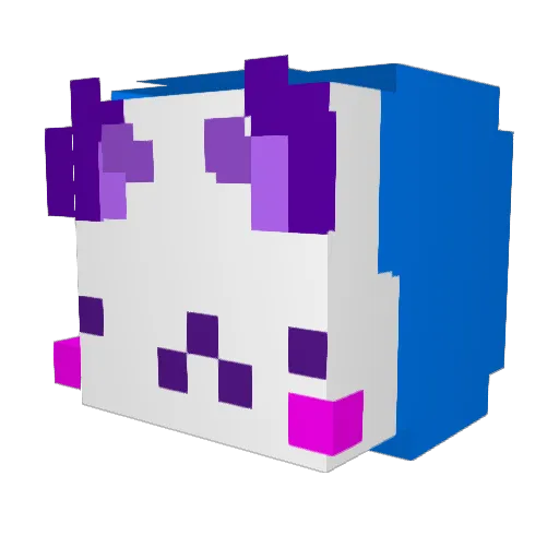 Pawcio1407 Minecraft avatar head, 3D render