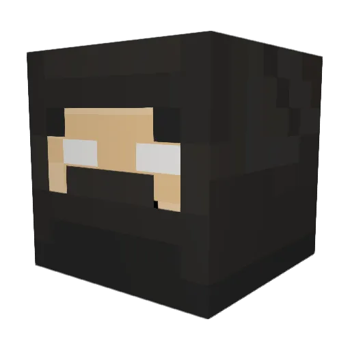 PawelPL84 Minecraft avatar head, 3D render