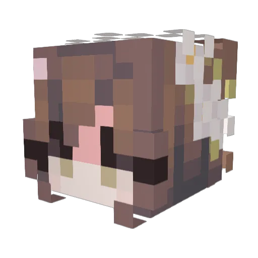 Pawfait_ Minecraft avatar head, 3D render