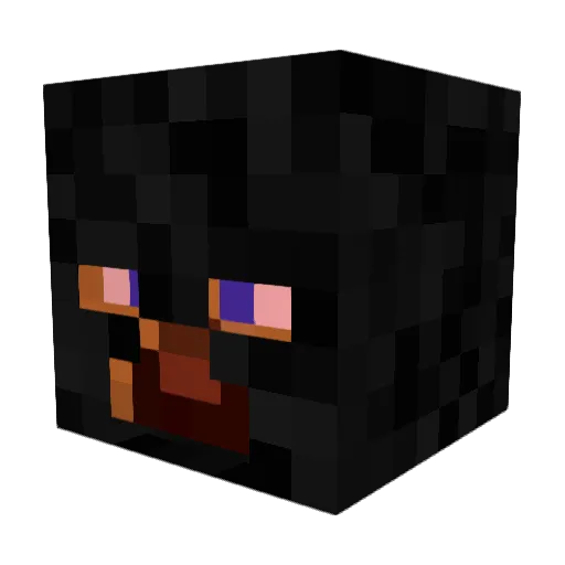 Pawik_1337 Minecraft avatar head, 3D render