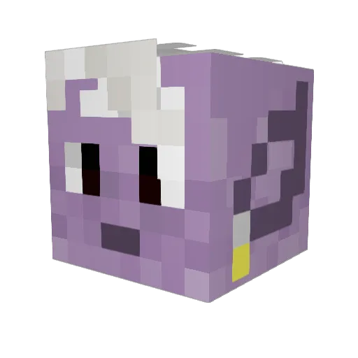 Pawkat123 Minecraft avatar head, 3D render