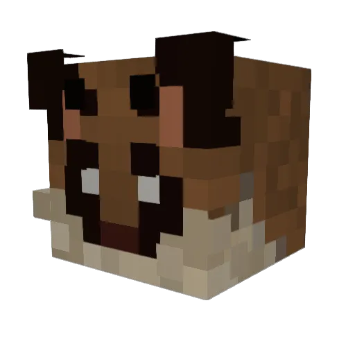 Pawlash Minecraft avatar head, 3D render