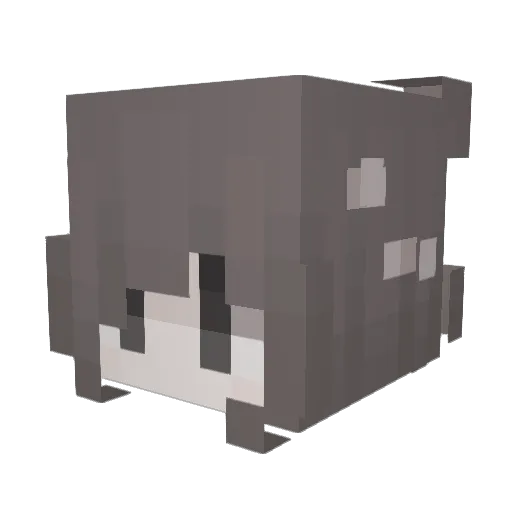 Pawlia Minecraft avatar head, 3D render