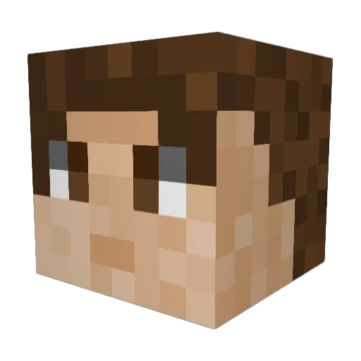 PawluS1 Minecraft avatar head, 3D render