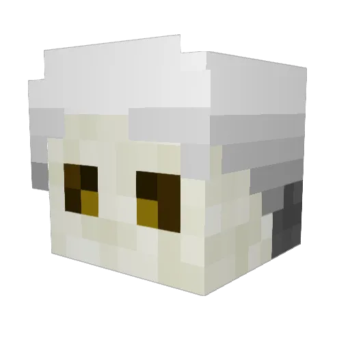 Pawns_Spirit Minecraft avatar head, 3D render