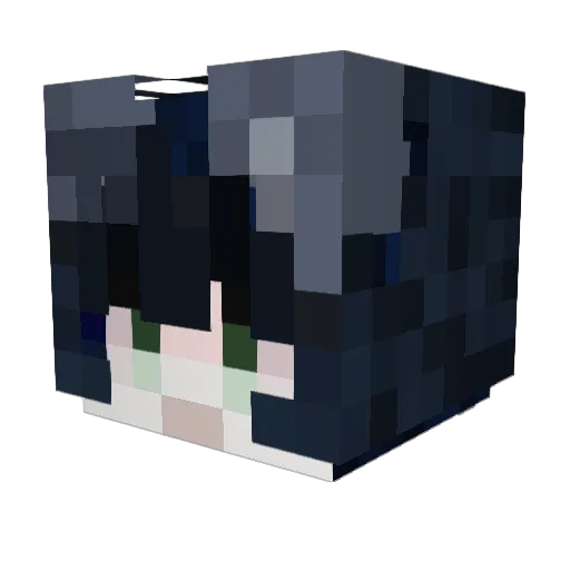 PawsWagsXsx Minecraft avatar head, 3D render