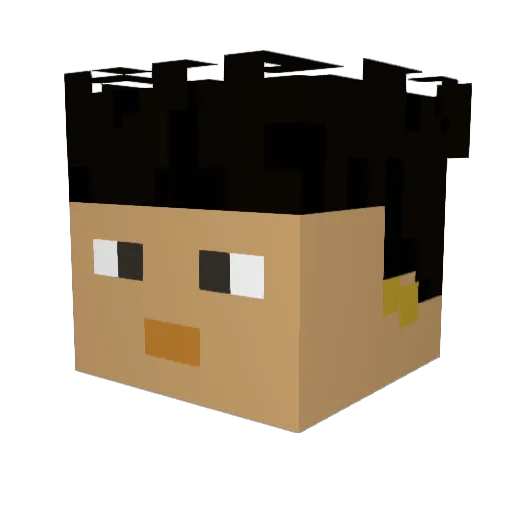 Pawsiak Minecraft avatar head, 3D render