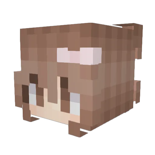 PawtatoChwips Minecraft avatar head, 3D render