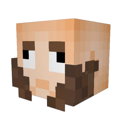 Pawtet365 Minecraft avatar head, 3D render
