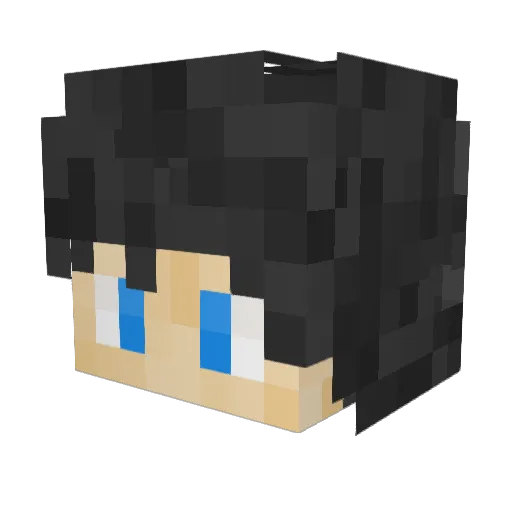 Pax3eY Minecraft avatar head, 3D render