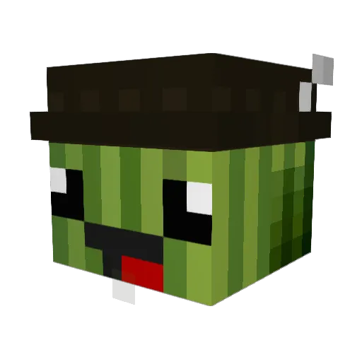 PaxInsane Minecraft avatar head, 3D render