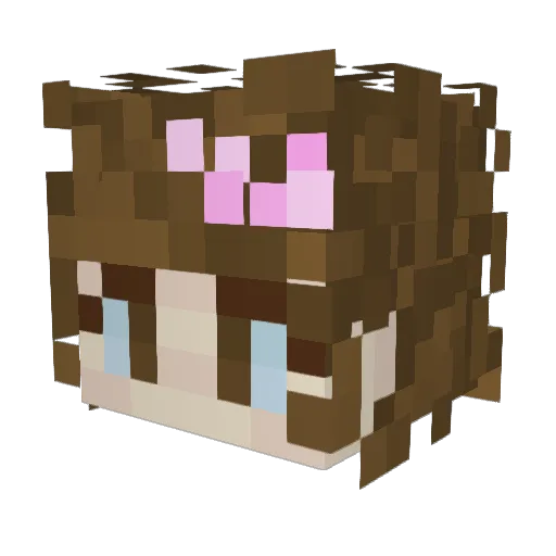PaxMenPL Minecraft avatar head, 3D render