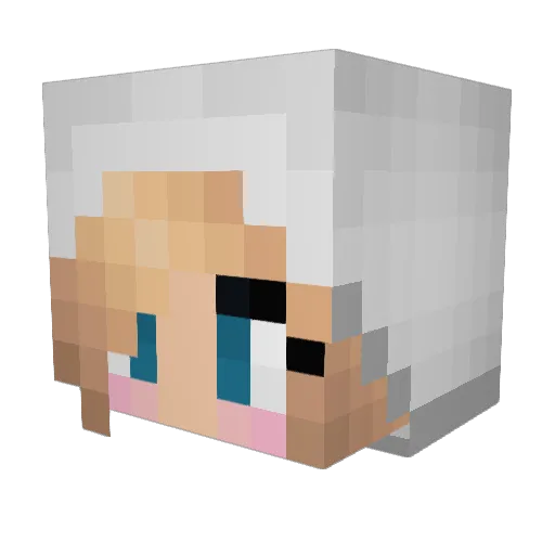 Pax_03 Minecraft avatar head, 3D render