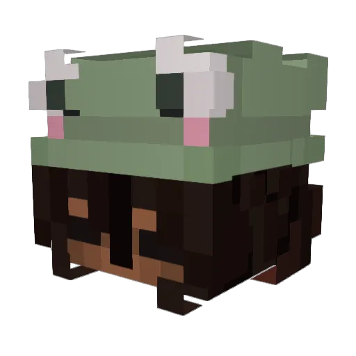 Pax_Rae Minecraft avatar head, 3D render