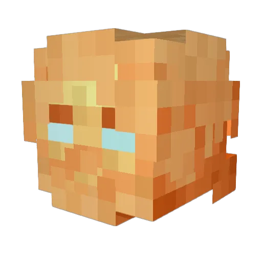 Paxcas1 Minecraft avatar head, 3D render