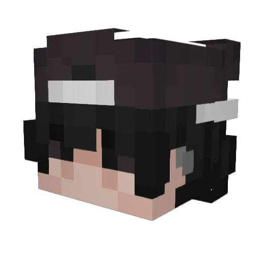 Paxdee Minecraft avatar head, 3D render