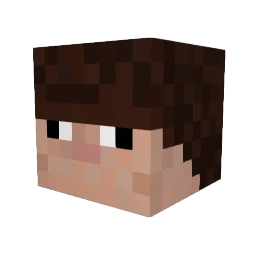 Paxits Minecraft avatar head, 3D render