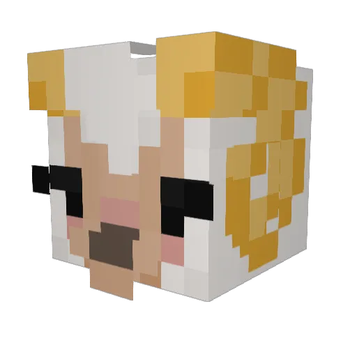 PaxtonHQ Minecraft avatar head, 3D render