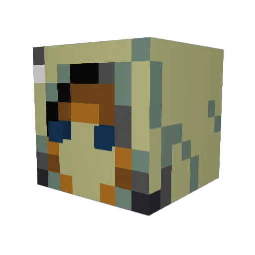 Paxtonx Minecraft avatar head, 3D render