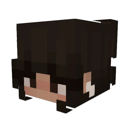 Paxy_06 Minecraft avatar head, 3D render