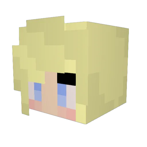 PayPay05 Minecraft avatar head, 3D render