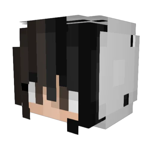 PayPee Minecraft avatar head, 3D render