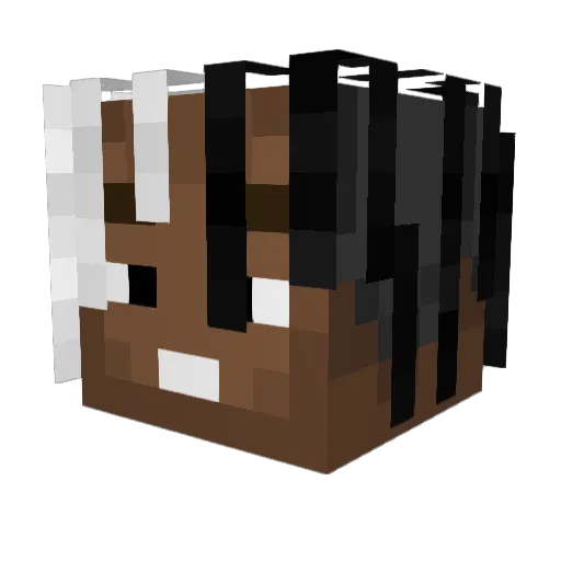 PayQiu Minecraft avatar head, 3D render