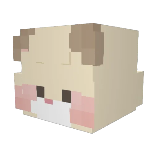 PayW Minecraft avatar head, 3D render