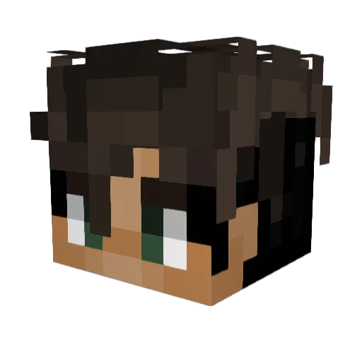 PayWithVisa Minecraft avatar head, 3D render