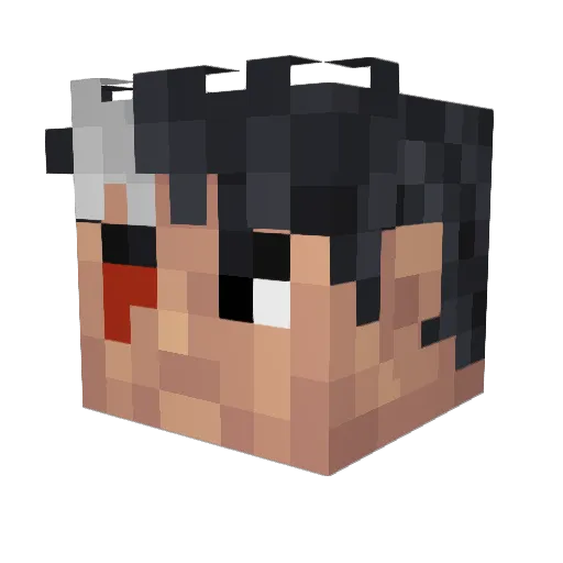Pay_Respects_Boi Minecraft avatar head, 3D render