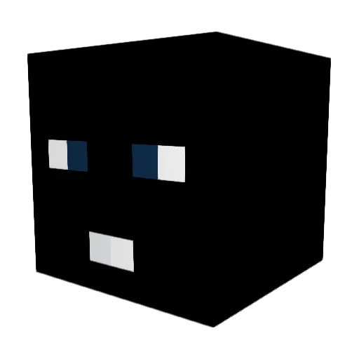 Paya224 Minecraft avatar head, 3D render