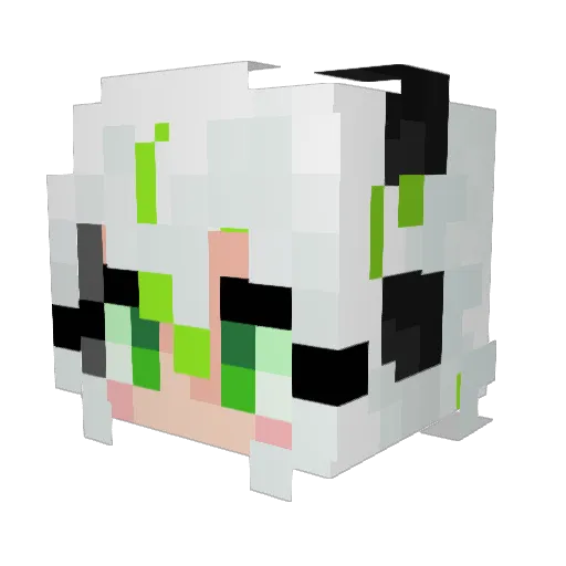 PayaPan Minecraft avatar head, 3D render