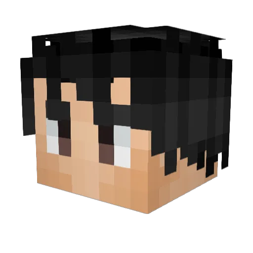 PayasoPlayer Minecraft avatar head, 3D render