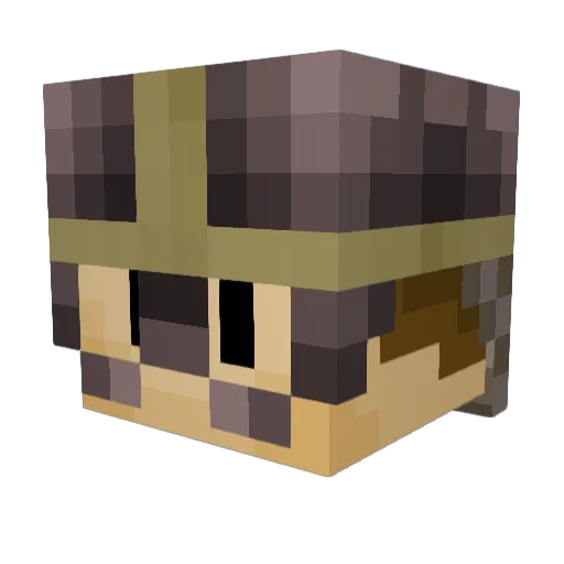 Payasofilico Minecraft avatar head, 3D render