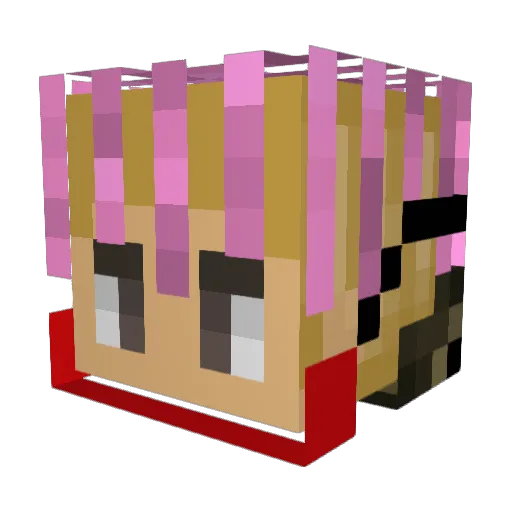 Payback174 Minecraft avatar head, 3D render